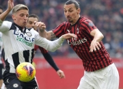 关于诺森波顿惊艳表现，展示实力赢得球迷赞赏！的信息